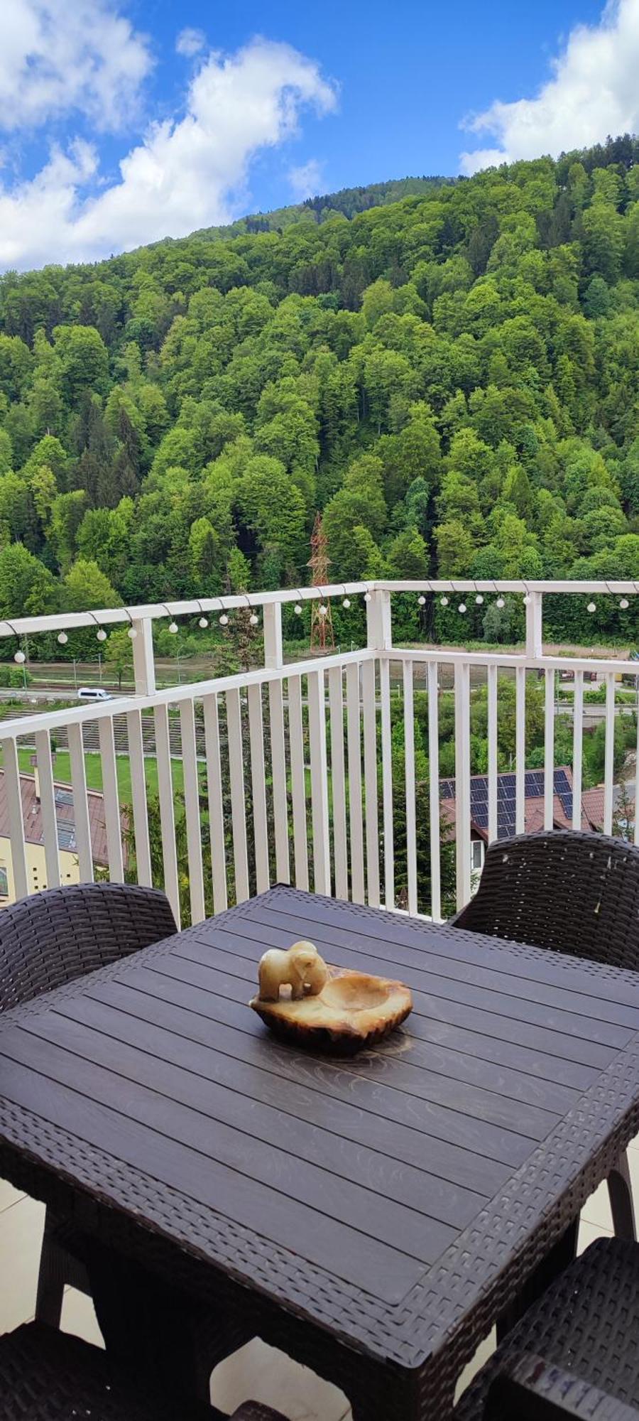Duplex Belle View Sinaia-Free Parking Apartamento Exterior foto