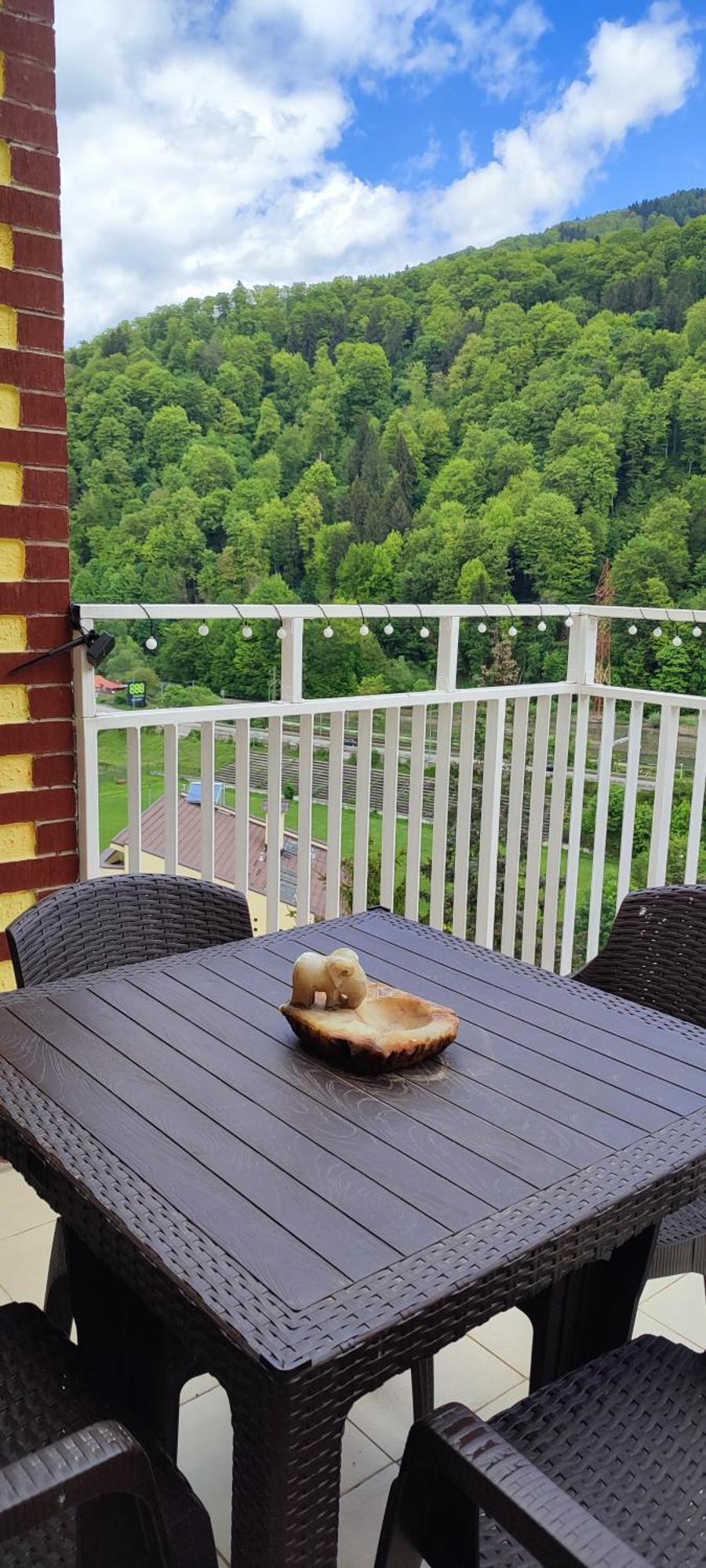 Duplex Belle View Sinaia-Free Parking Apartamento Exterior foto