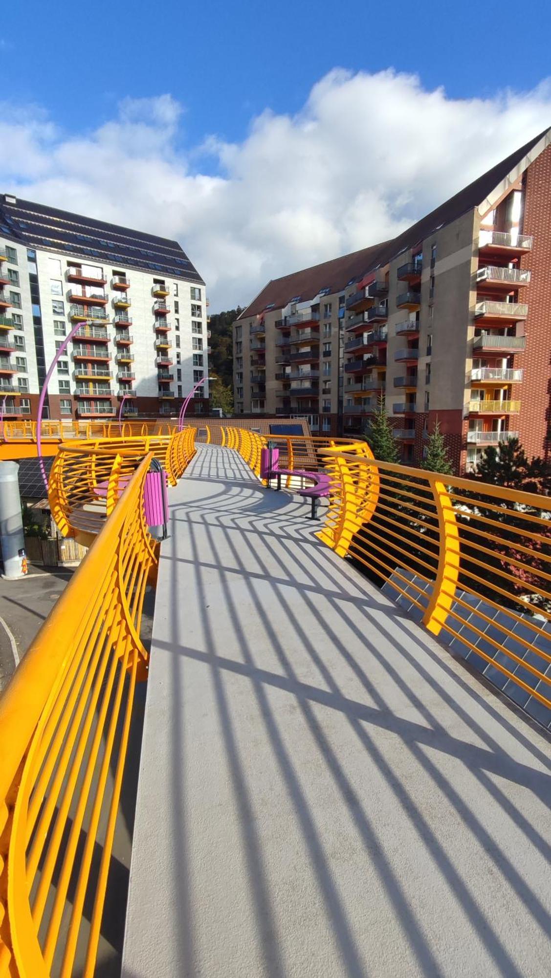 Duplex Belle View Sinaia-Free Parking Apartamento Exterior foto